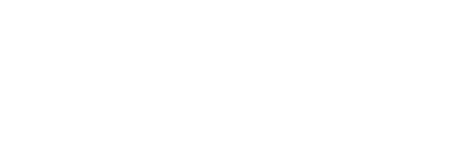 School of Complex Adaptive Systems Logo